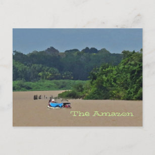 Amazon River Scene  Postcard