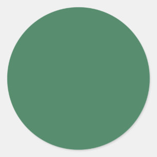 Amazon (solid colour) classic round sticker