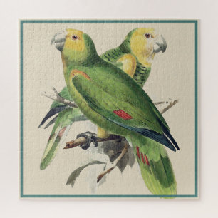 Amazona Parrots - vintage birds Jigsaw Puzzle