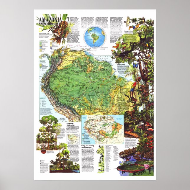 " Amazonia: 1992 A World Resource At Risk MAP ... Poster (Front)