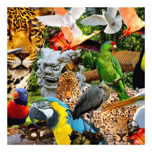 AMAZONIA      PHOTO PRINT