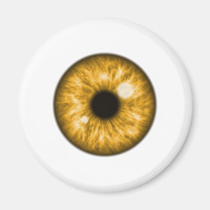 Amber Eye Ball Funny Magnet