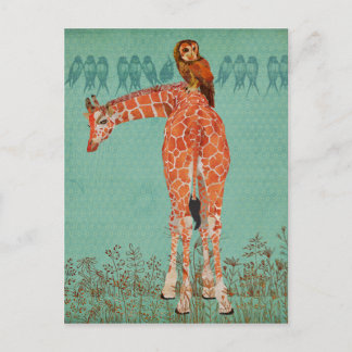 Amber Giraffe & Owl Feathers Postcard