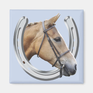 Amber horse magnet