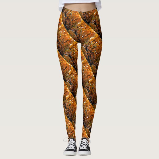 Amber Leaves of Fall Leggings (Front)