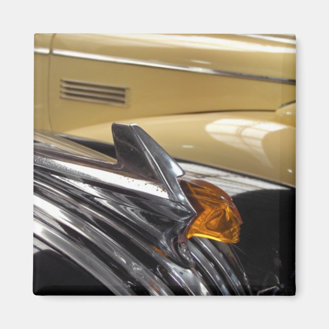 Amber Magnet (Front)