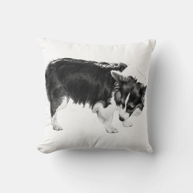 Amber Porch Sniff Cushion (Front)