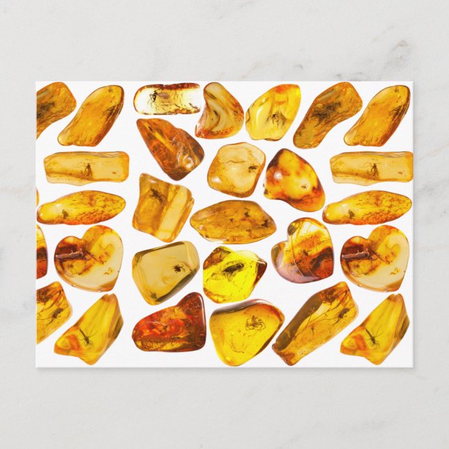 Amber stone inclusions postcard (Front)