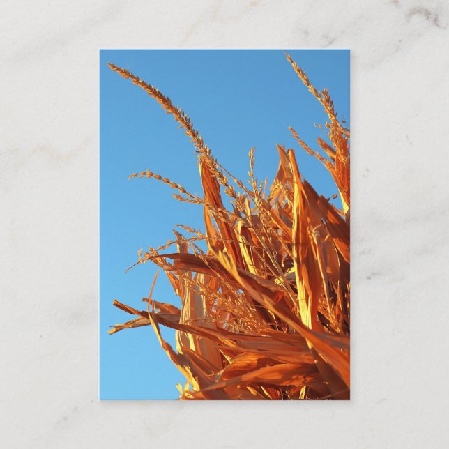 Amber Waves  Enclosure Card (Front)