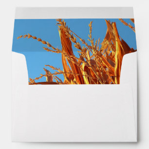 Amber Waves Envelope