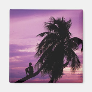 Ambergris Caye, Belise, Central America. Magnet