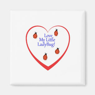 Ambers Lady Bug Magnet