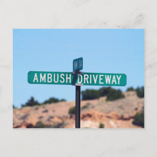 Ambush Driveway in New Mexico Postcard