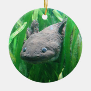 Ambystoma andersoni ceramic tree decoration