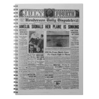 Amelia Earhart Vintage Newspaper Story