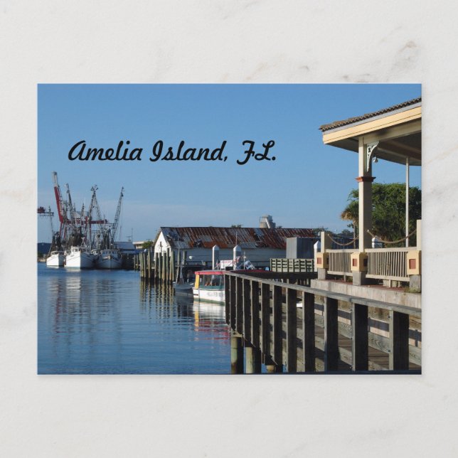 Amelia island, FL. postcard (Front)