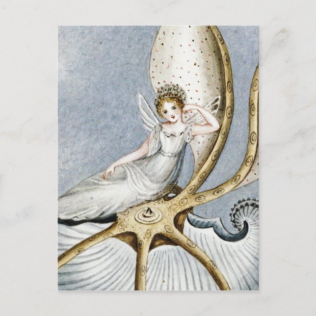 Amelia Jane Murray - A Fairy Resting On A Shell. Postcard (Front)