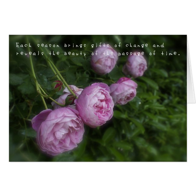 Amelia's Amazing Adventures (Front Horizontal)