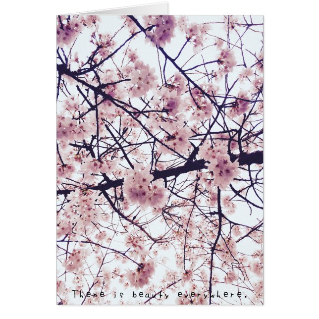 Amelia's Amazing Adventures (Front)