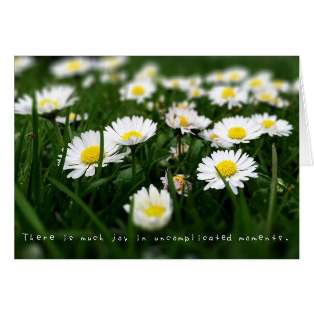 Amelia's Amazing Adventures Journal (Front Horizontal)