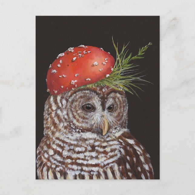amelie the barred owl postcard (Front)