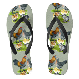 Ameraucana Chicken Family Jandals