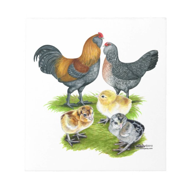 Ameraucana Chicken Family Notepad (Front)
