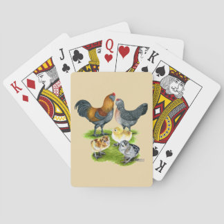 Ameraucana Chicken Family Playing Cards