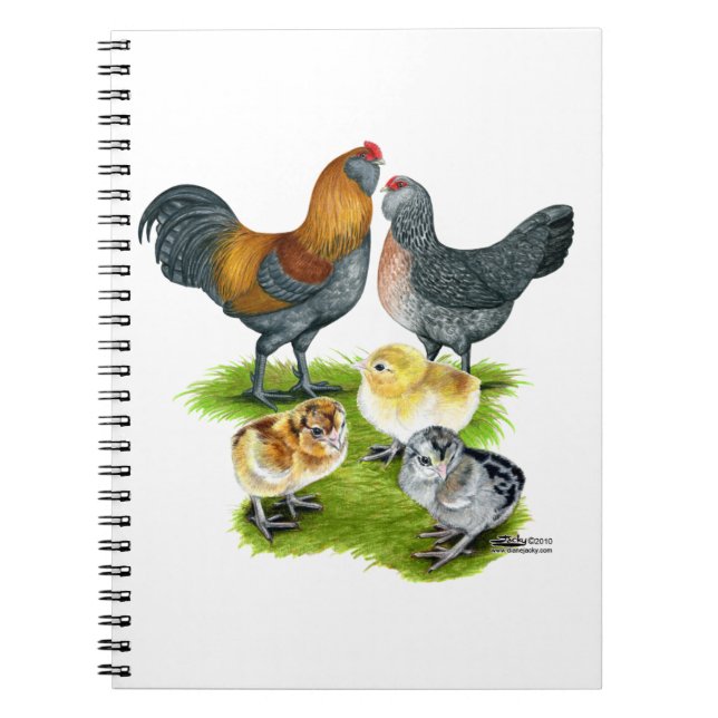 Ameraucana Chicken Family Spiral Notebook (Front)