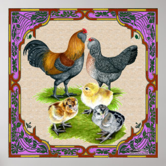 Ameraucana Family Framed Poster