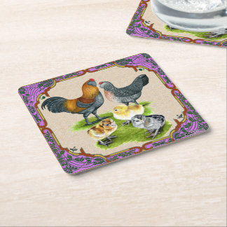 Ameraucana Family Framed Square Paper Coaster