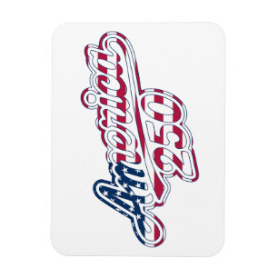 America 250 Flag Script Semiquincentennial Design Magnet