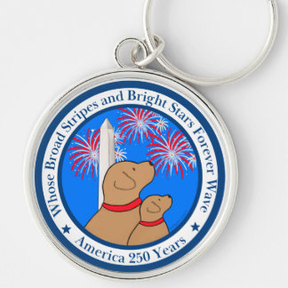 America 250 Special Edition DC  Key Ring
