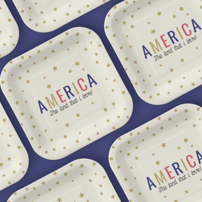 America 4th of July Decorations Paper Plate (Creator Uploaded)