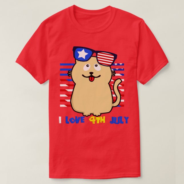 America 4th of July Patriotic holiday (27) T-Shirt (Design Front)