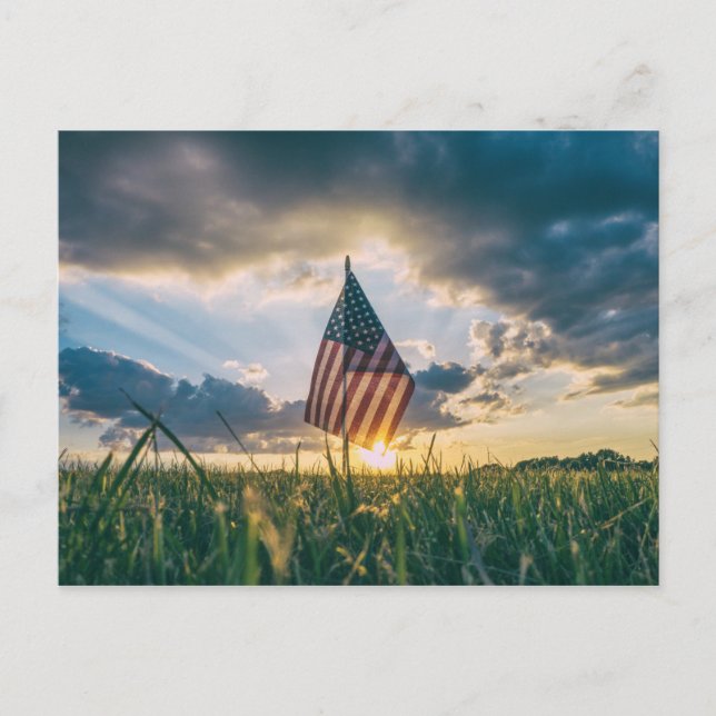 america 7 postcard (Front)