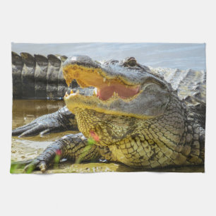 America alligator closeup. Face to face Tea Towel