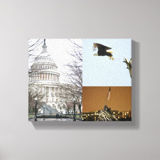 America Canvas Print