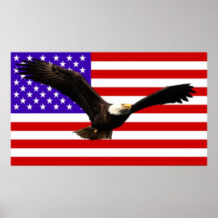 America flag Bald Eagle USA Poster