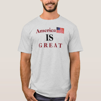 AMERICA IS GREAT tee