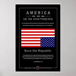 America is in Distress Poster