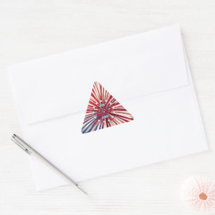 America’s 250th Birthday 1776-2026 RWB Fireworks Triangle Sticker