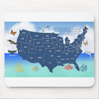 America The Beautiful Mouse Pad