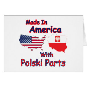 America With Polski Parts