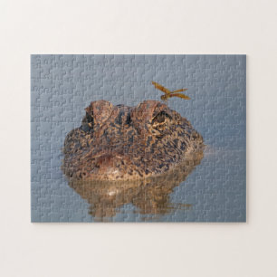 American Alligator and Dragonfly - Wildlife Photo Jigsaw Puzzle