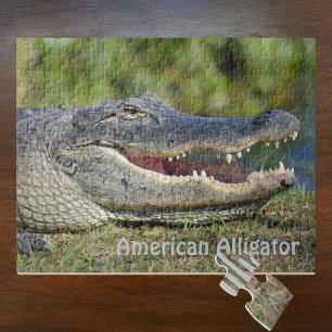 American Alligator Jigsaw Puzzle