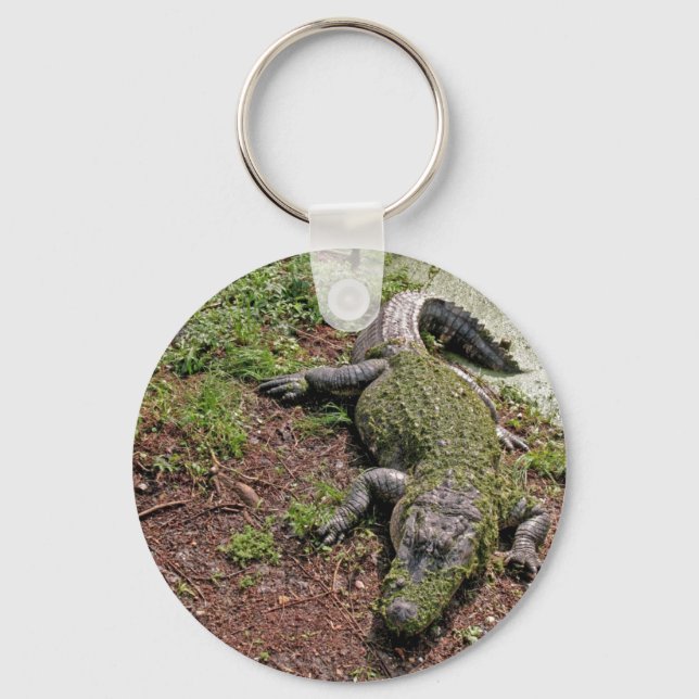 American Alligator Key Ring (Front)