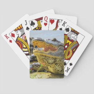 American alligator portrait - Face to face Playing Cards