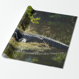 American Alligator Resting Wetland Nature Photo Wrapping Paper