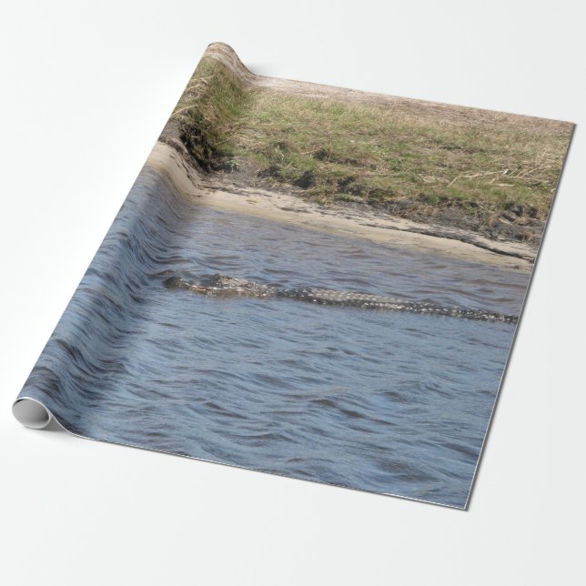 American Alligator Swimming in a Marsh River Wrapping Paper (Unrolled)